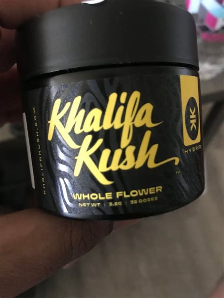 DazeVlog | Wiz Khalifa Khalifa Review