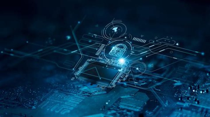 Dive Into The World Of Valery Kaufman: Age, Career, And Beyond