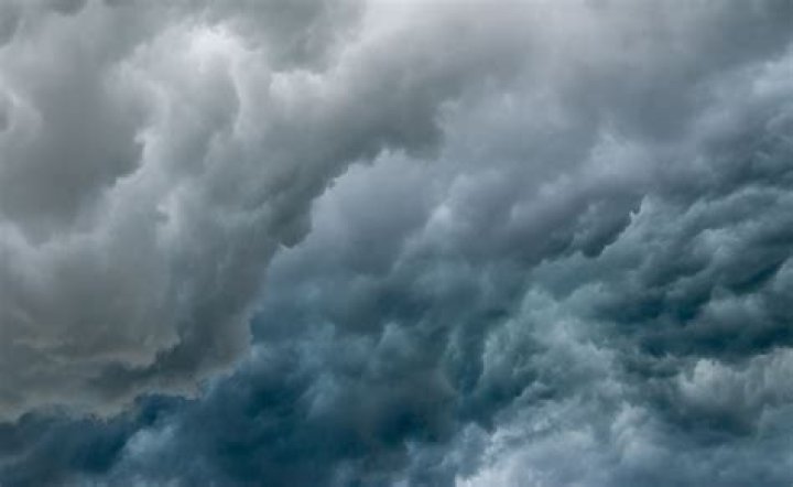 Exploring The Phenomenon Of Danii Banks OnlyFans