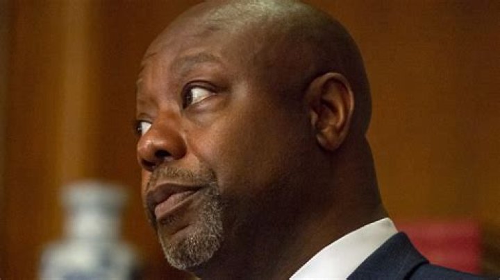 How Much Is Tim Scott Worth? ·