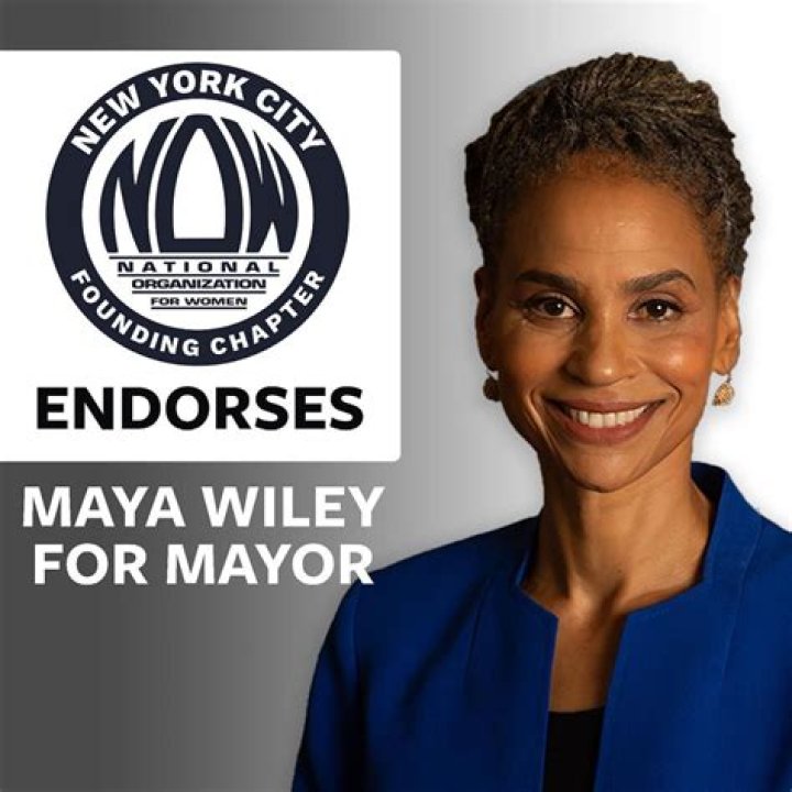 Meet Maya Wiley-American civil rights activist and former counsel of New York City's Mayor.