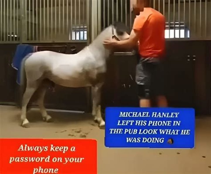 Michael Hanley Mr Hands Orange Shirt Man And Horse Video Viral ·