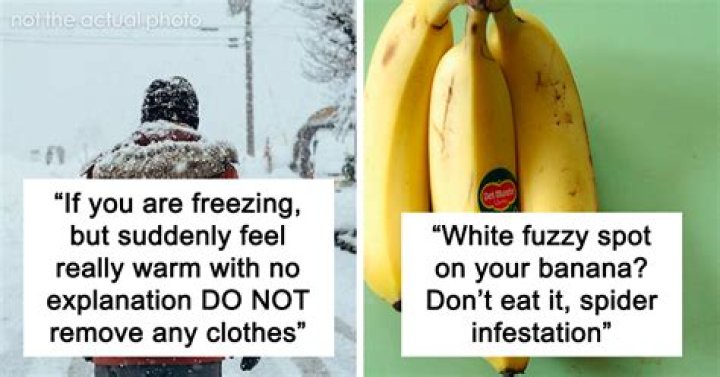 Surprising Truths And Little-Known Facts