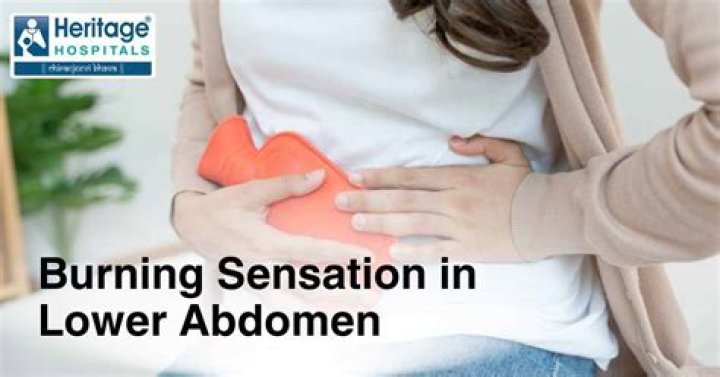 The Latest Sensation In The Online Entertainment World