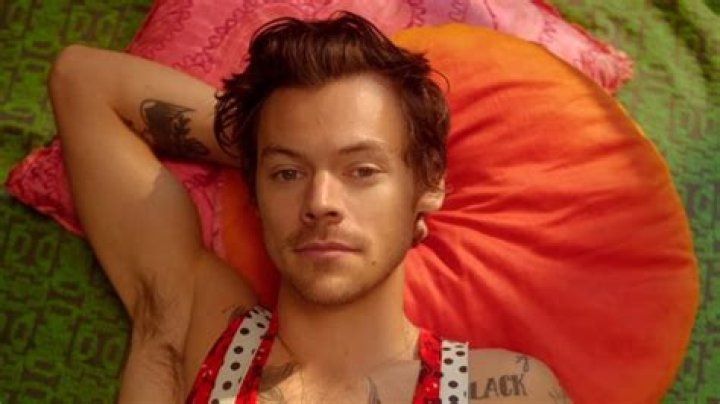 The Truth About Harry Styles' Sexy Marvel Role