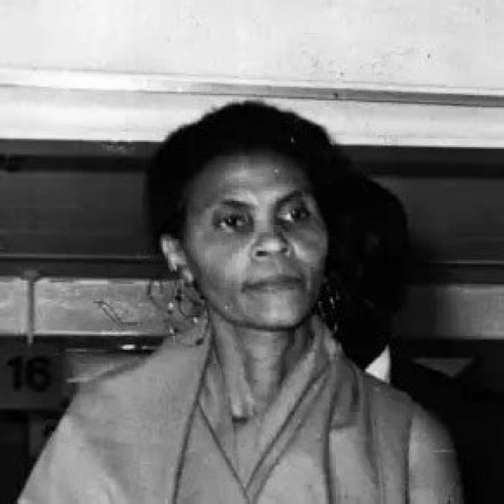 Themetta Suggs Age, Birthday, Wikipedia, Who, Nationality, Biography |