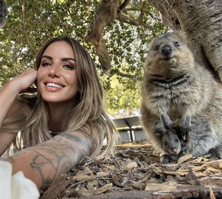 Unveiling The Charm Of Quokka Selfies: Discoveries And Insights