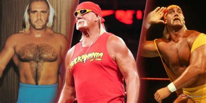What is Hulk Hogans Win/Loss Record? ·